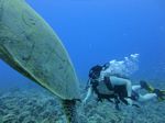 Hawaii Scuba divng 25