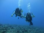 Hawaii Scuba divng 27