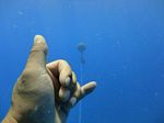 Hawaii Scuba divng 02