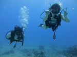 Hawaii Scuba divng 33