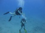 Hawaii Scuba divng 35