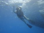 Hawaii Scuba divng 43