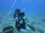 Hawaii Scuba divng 46