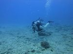 Hawaii Scuba divng 49