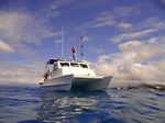 Hawaii Scuba divng 04