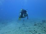 Hawaii Scuba divng 51