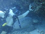 Hawaii Scuba divng 64