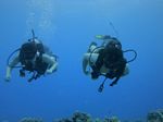 Hawaii Scuba divng 73