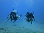 Hawaii Scuba divng 75