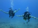 Hawaii Scuba divng 76