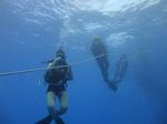Hawaii Scuba divng 11