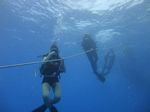 Hawaii Scuba divng 11