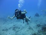 Hawaii Scuba divng 14