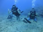 Hawaii Scuba divng 16