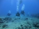 Hawaii Scuba divng 17