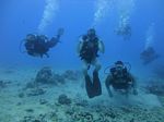 Hawaii Scuba divng 18