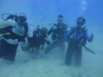 Hawaii Scuba divng 22