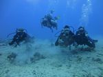 Hawaii Scuba divng 23