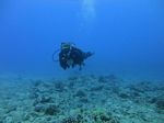 Hawaii Scuba divng 25