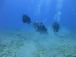 Hawaii Scuba divng 26