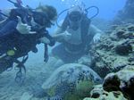 Hawaii Scuba divng 33