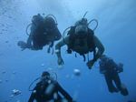 Hawaii Scuba divng 36