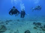 Hawaii Scuba divng 37