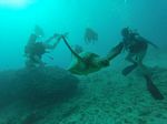 Hawaii Scuba divng 10