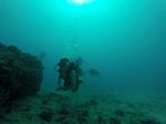 Hawaii Scuba divng 28