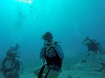 Hawaii Scuba divng 31