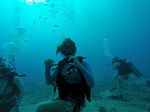 Hawaii Scuba divng 32