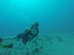 Hawaii Scuba divng 35