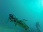 Hawaii Scuba divng 03