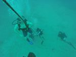 Hawaii Scuba divng 40