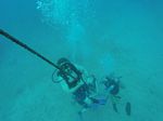 Hawaii Scuba divng 41