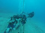 Hawaii Scuba divng 45