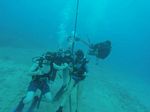 Hawaii Scuba divng 46