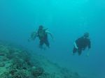 Hawaii Scuba divng 48