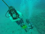 Hawaii Scuba divng 53