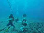 Hawaii Scuba divng 56