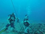 Hawaii Scuba divng 57