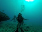 Hawaii Scuba divng 77