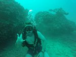 Hawaii Scuba divng 81