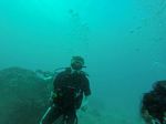 Hawaii Scuba divng 84