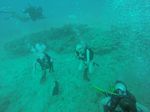 Hawaii Scuba divng 88