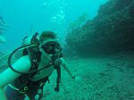 Hawaii Scuba divng 89