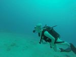 Hawaii Scuba divng 90