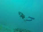 Hawaii Scuba divng 91