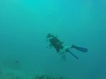 Hawaii Scuba divng 92