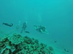 Hawaii Scuba divng 93